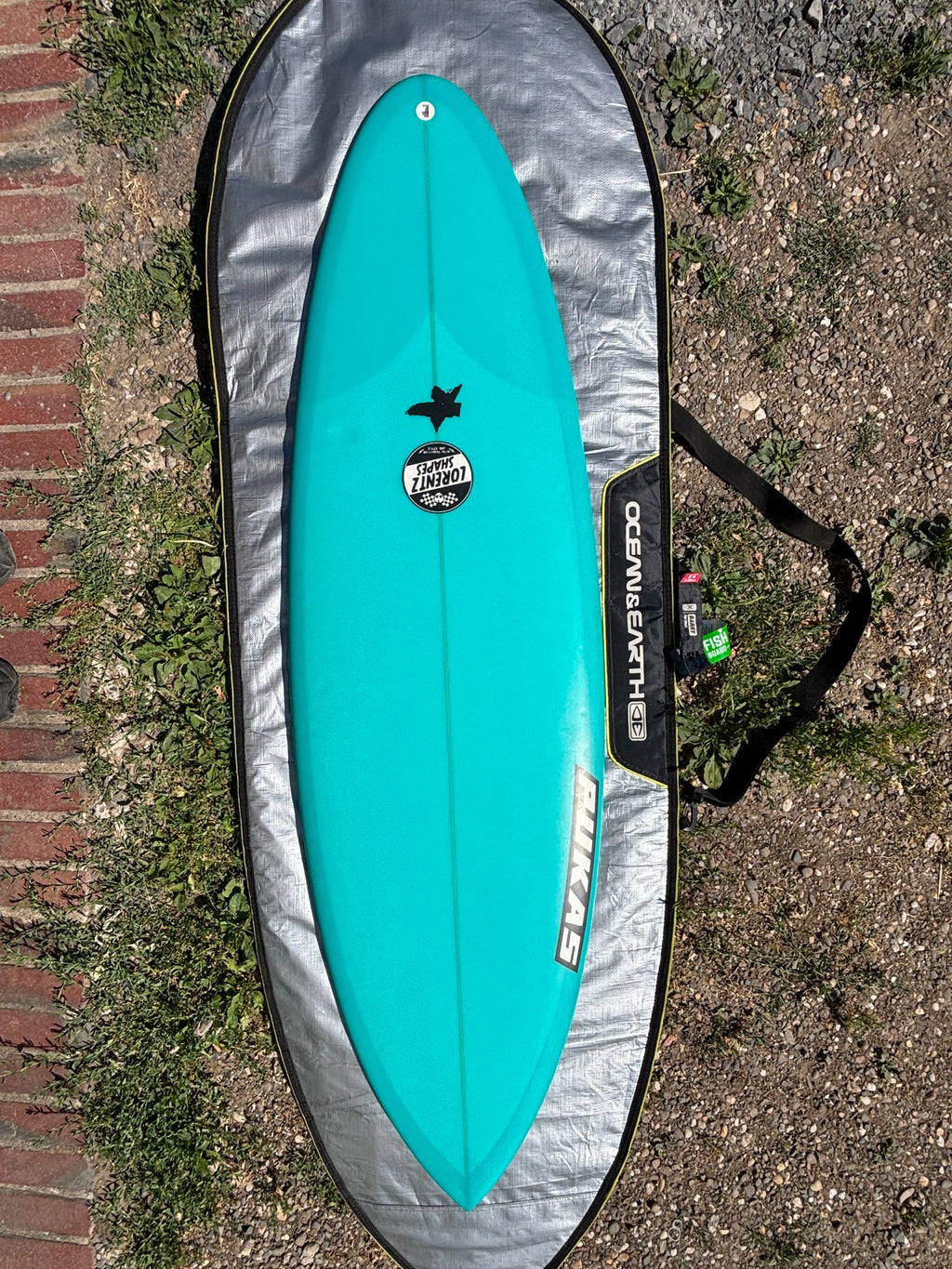 Shortboard 5'6" Pukas